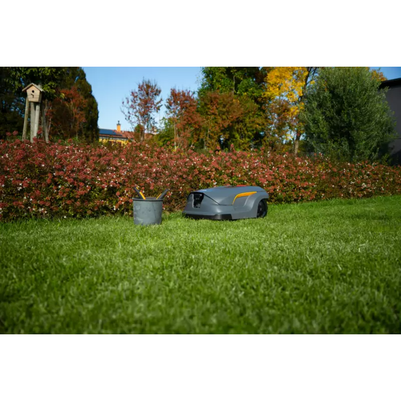 A50v_2R9113028_amb22_web